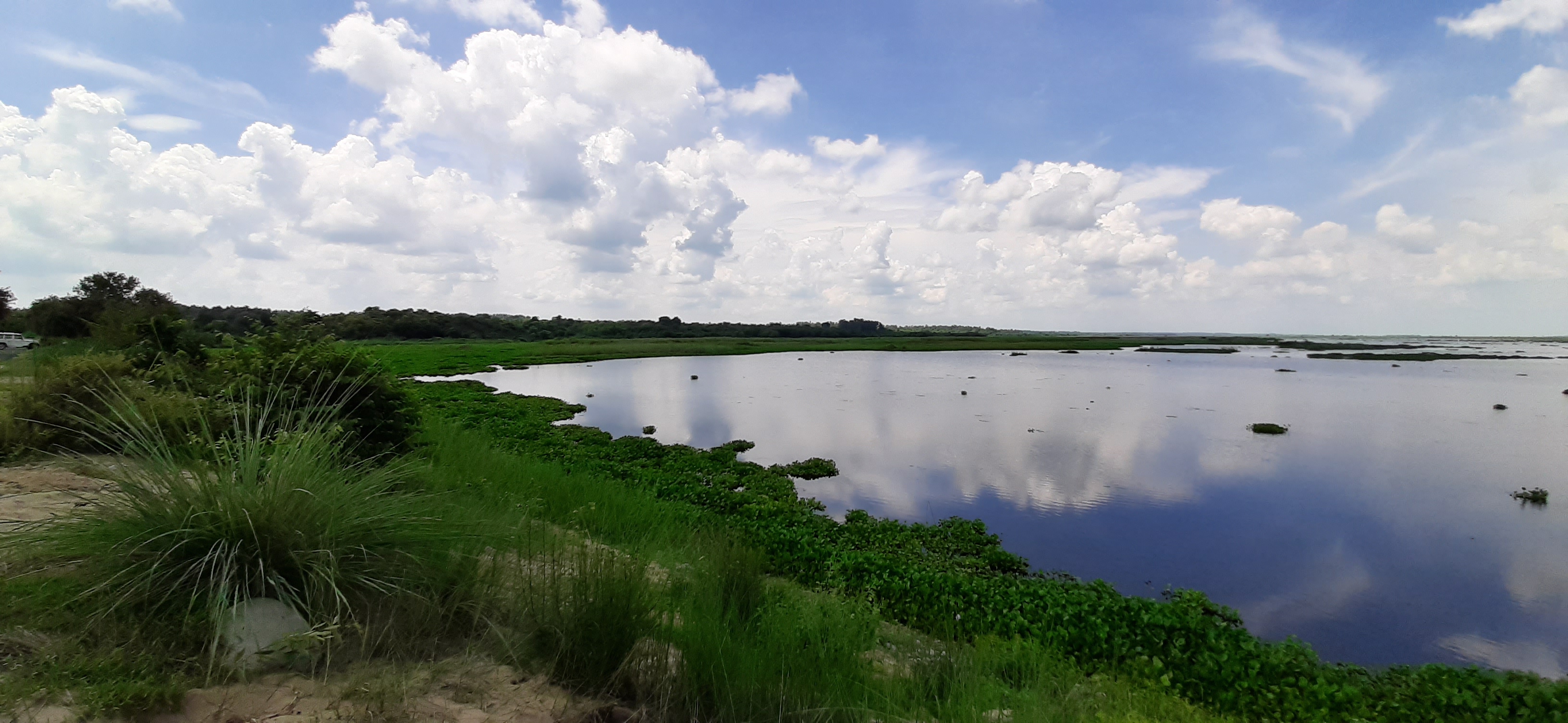 Haiderpur Wetland